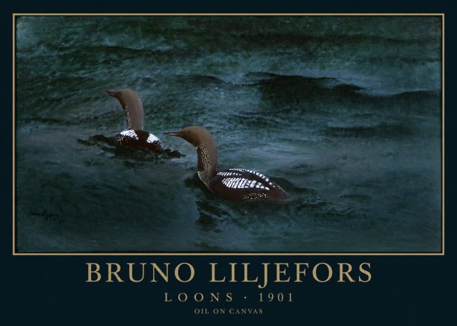 Bruno Liljefors Loons · 1901 No1 - Plakát
