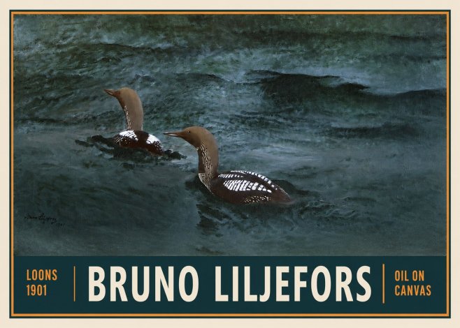 Bruno Liljefors Loons · 1901 No2 - Plakát
