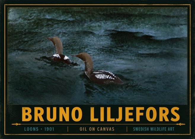 Bruno Liljefors Loons · 1901 No4 - Plakát