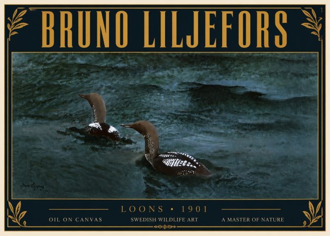 Bruno Liljefors Loons · 1901 No6 - Plakát