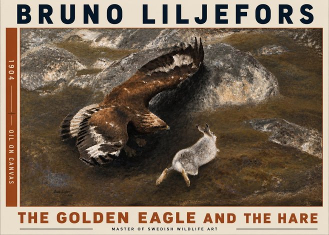 Bruno Liljefors The Golden Eagle and the Hare, 1904 No6 - Plakát