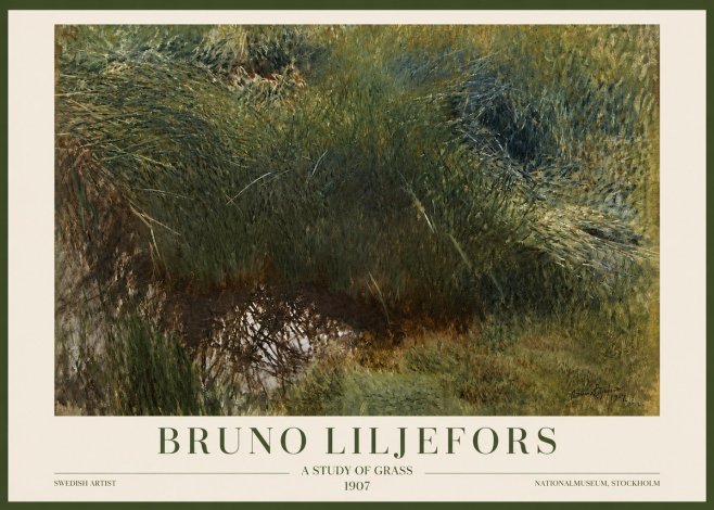 Bruno Liljefors A Study of Grass No3 - Plakát