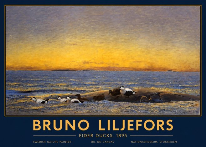Bruno Liljefors Eider Ducks. 1895 No2 - Plakát