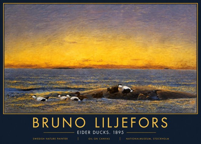 Bruno Liljefors Eider Ducks. 1895 No5 - Plakát