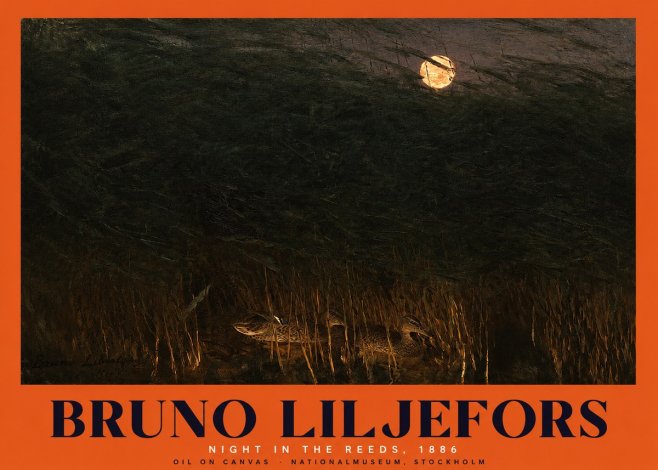 Bruno Liljefors Night in the Reeds No2 - Plakát