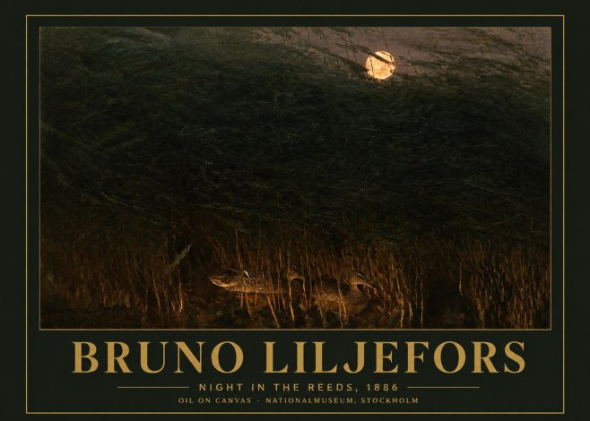 Bruno Liljefors Night in the Reeds No3 - Plakát