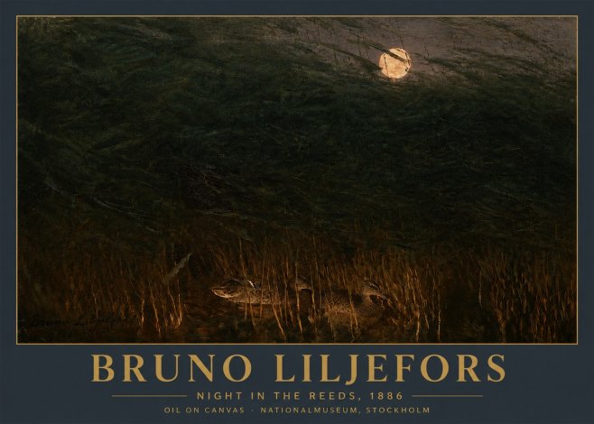 Bruno Liljefors Night in the Reeds No5 - Plakát