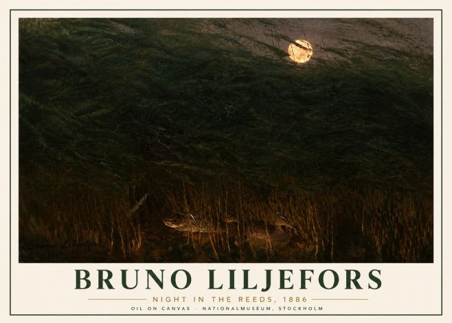 Bruno Liljefors Night in the Reeds No6 - Plakát