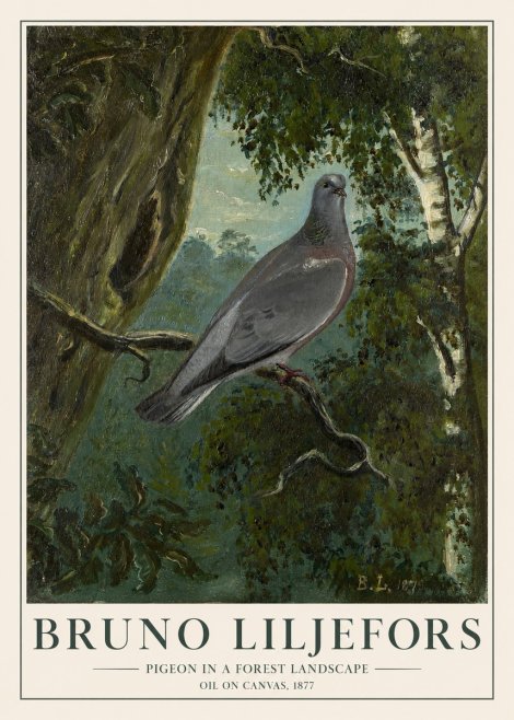 Bruno Liljefors Pigeon in a Forest Landscape No1 - Plakát