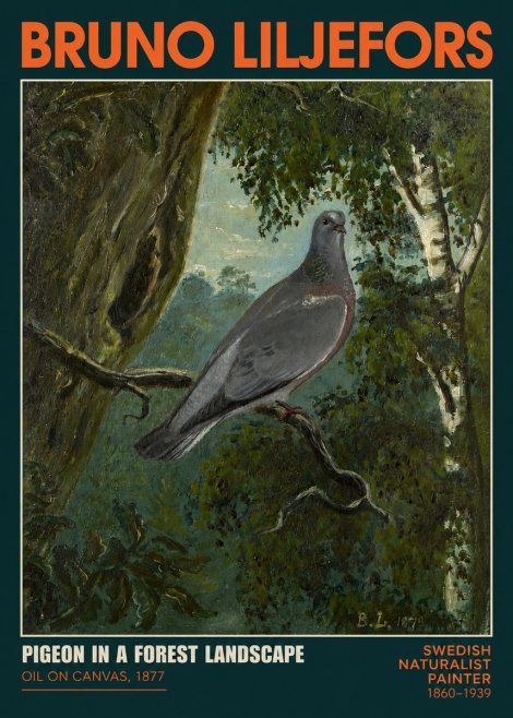 Bruno Liljefors Pigeon in a Forest Landscape No2 - Plakát