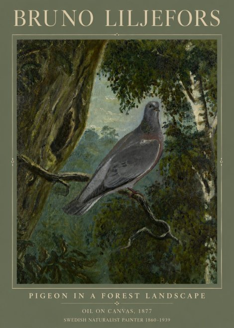 Bruno Liljefors Pigeon in a Forest Landscape No3 - Plakát