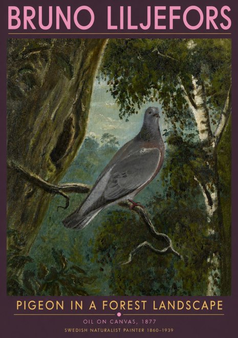 Bruno Liljefors Pigeon in a Forest Landscape No5 - Plakát