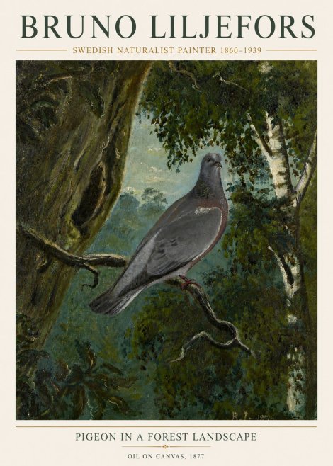 Bruno Liljefors Pigeon in a Forest Landscape No6 - Plakát