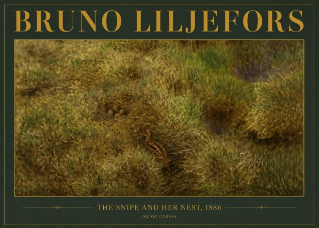 Bruno Liljefors The Snipe and Her Nest No4 - Plakát
