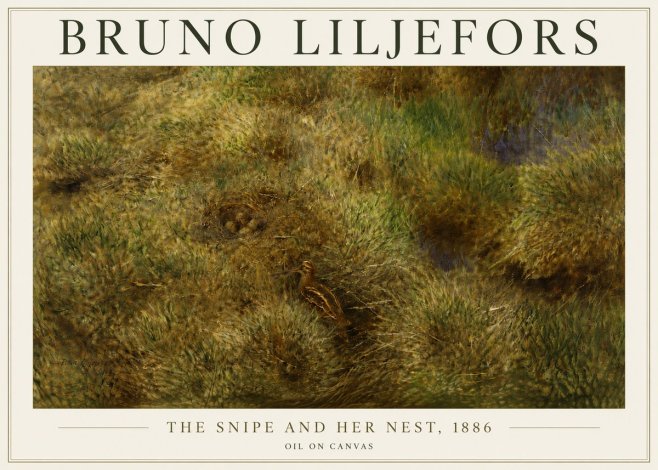 Bruno Liljefors The Snipe and Her Nest No5 - Plakát