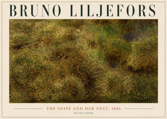 Bruno Liljefors The Snipe and Her Nest No6 - Plakát