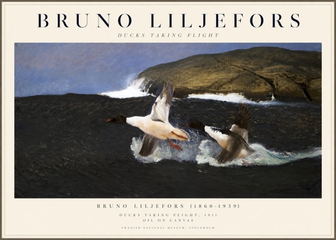 Bruno Liljefors Ducks Taking Flight No1 - Plakát