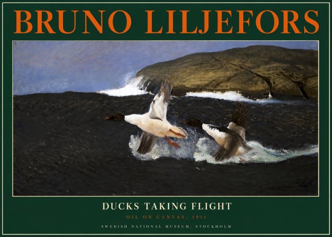 Bruno Liljefors Ducks Taking Flight No2 - Plakát
