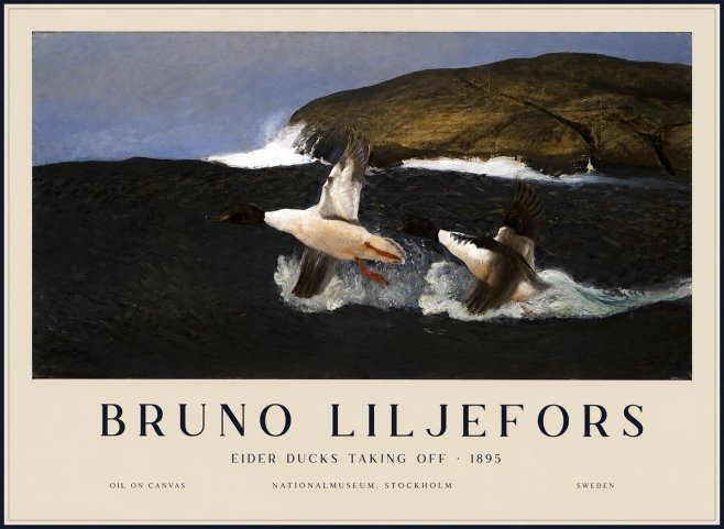 Bruno Liljefors Ducks Taking Flight No3 - Plakát