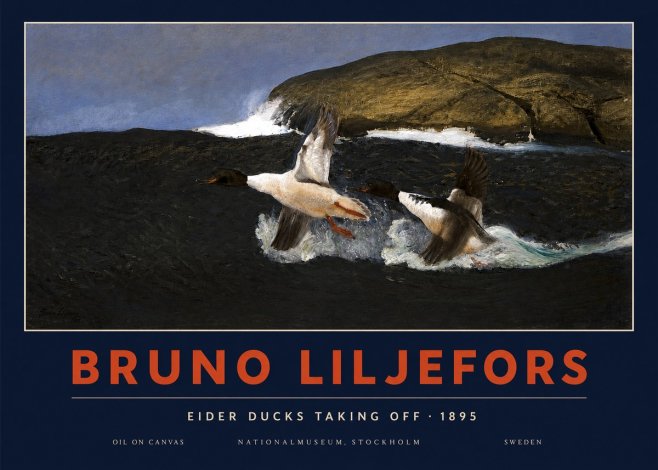 Bruno Liljefors Ducks Taking Flight No4 - Plakát