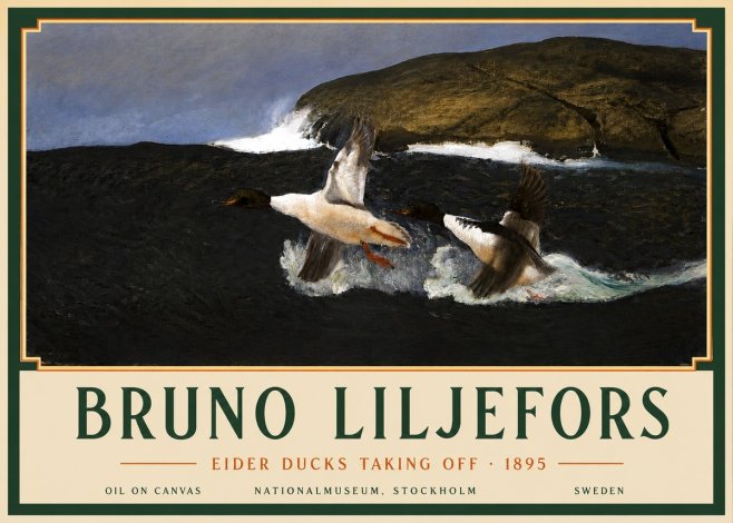 Bruno Liljefors Ducks Taking Flight No5 - Plakát