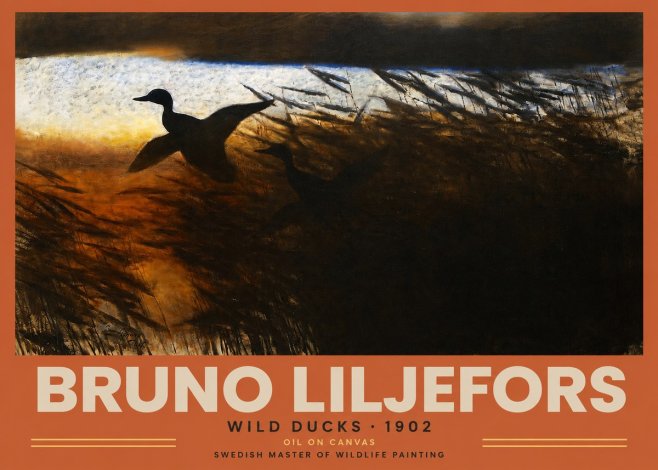 Bruno Liljefors Wild Ducks II No2 - Plakát