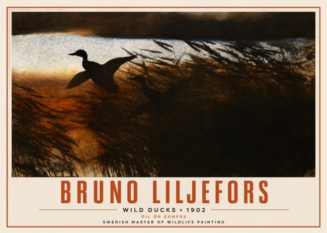 Bruno Liljefors Wild Ducks II No4 - Plakát