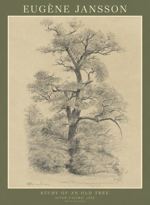 Eugène Jansson Study of an Old Tree No1 - Plakát
