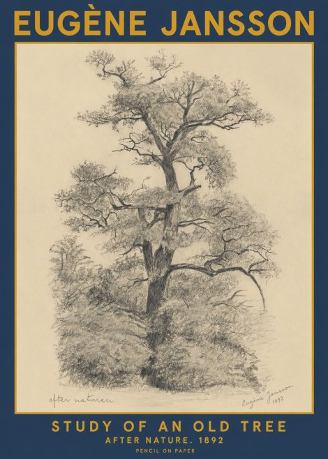 Eugène Jansson Study of an Old Tree No2 - Plakát