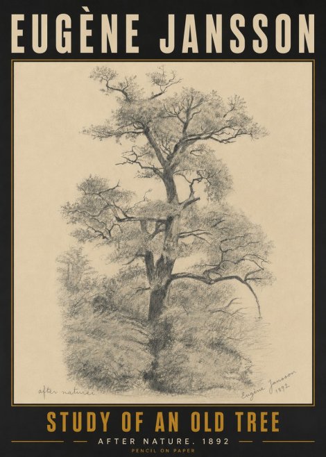 Eugène Jansson Study of an Old Tree No5 - Plakát