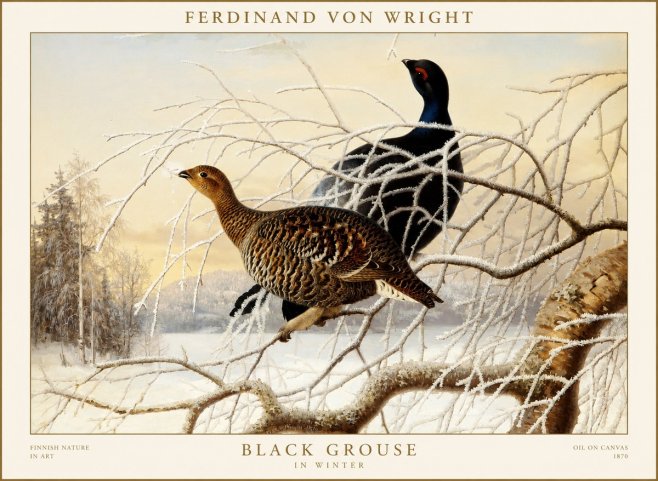 Ferdinand von Wright Black Grouse in Winter No1 - Plakát