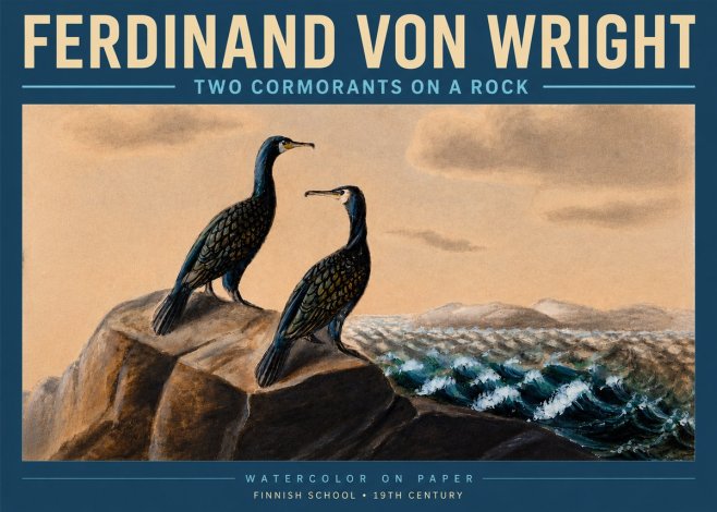 Ferdinand von Wright Two Cormorants on a Rock No3 - Plakát