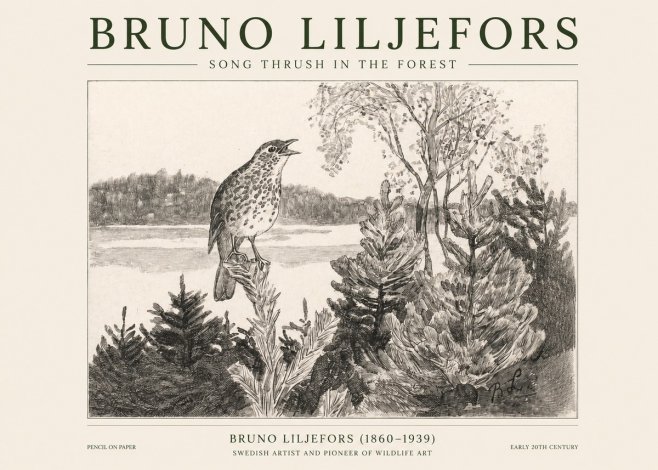 Bruno Liljefors Song Thrush in the Forest No1 - Plakát