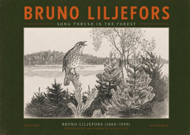 Bruno Liljefors Song Thrush in the Forest No2 - Plakát