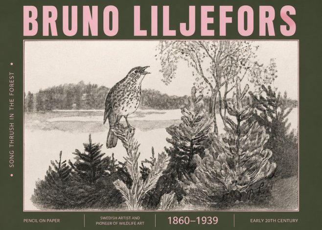 Bruno Liljefors Song Thrush in the Forest No4 - Plakát