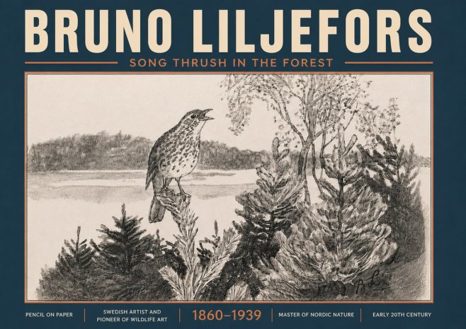 Bruno Liljefors Song Thrush in the Forest No6 - Plakát