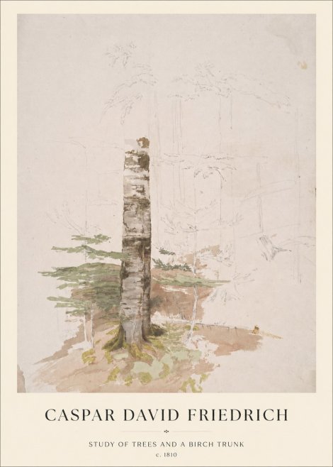Caspar David Friedrich Study of Trees and a Birch Trunk No1 - Plakát