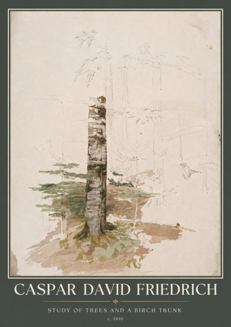 Caspar David Friedrich Study of Trees and a Birch Trunk No5 - Plakát