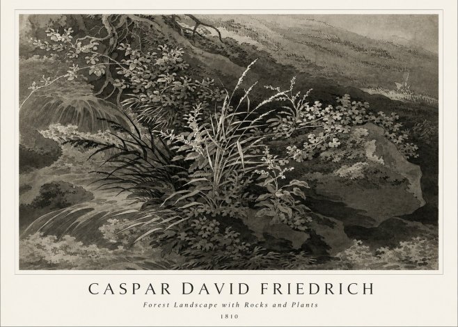 Caspar David Friedrich Forest Landscape with Rocks and Plants No1 - Plakát