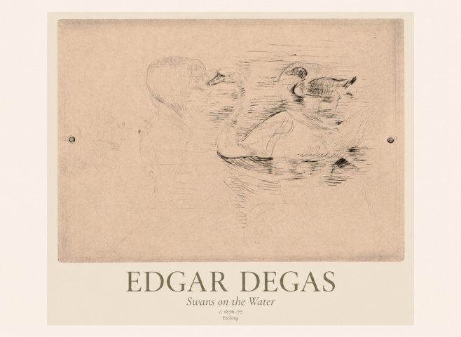 Edgar Degas Swans on the Water No1 - Plakát