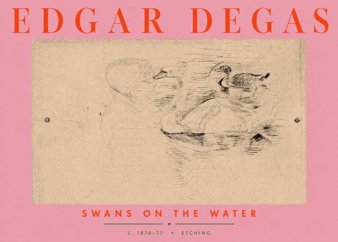 Edgar Degas Swans on the Water No3 - Plakát