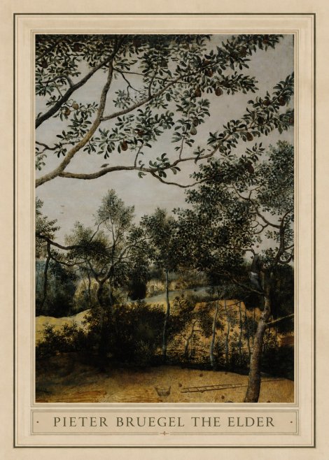 Pieter Bruegel Branch of a Pear Tree No1 - Plakát