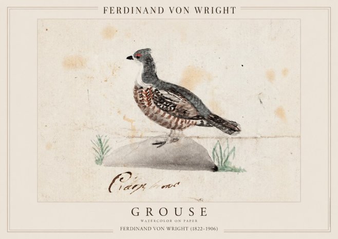 Ferdinand von Wright Grouse No1 - Plakát