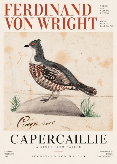 Ferdinand von Wright Grouse No4 - Plakát