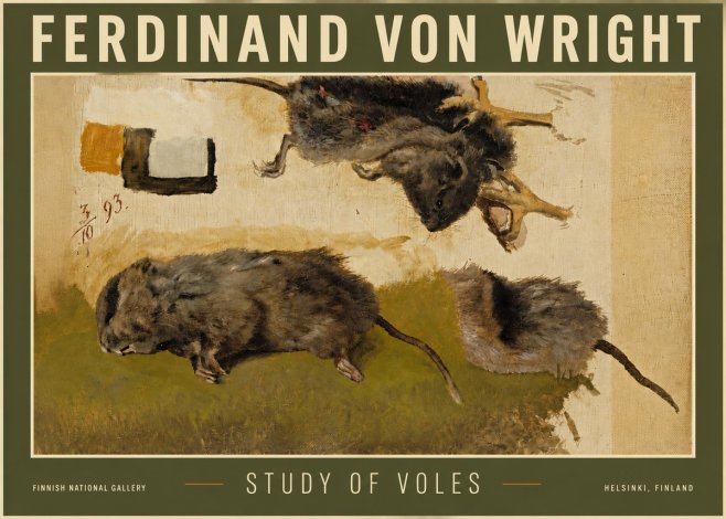 Ferdinand von Wright Studies of Lemmings No6 - Plakát