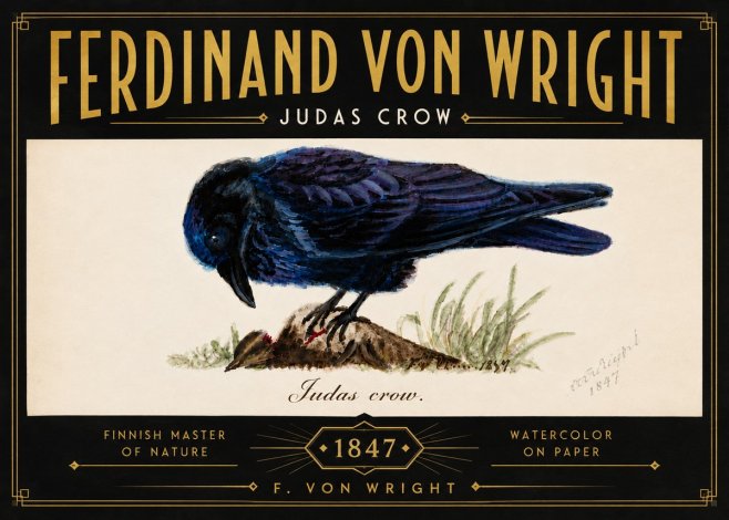 Ferdinand von Wright Judas Crow No6 - Plakát