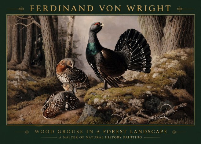 Ferdinand von Wright Wood Grouse in a Forest Landscape No3 - Plakát
