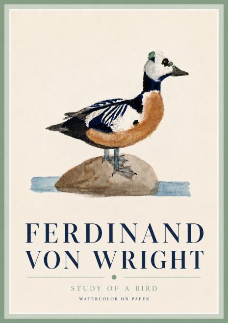 Ferdinand von Wright Study of a Bird No3 - Plakát