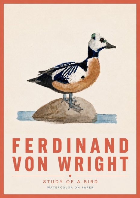 Ferdinand von Wright Study of a Bird No6 - Plakát