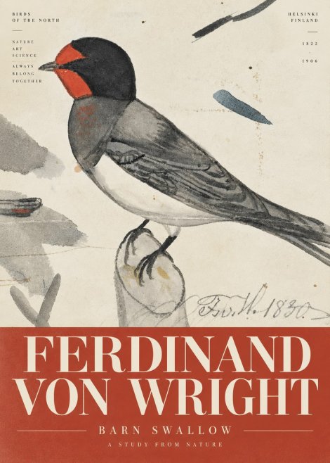 Ferdinand von Wright The Swallow No6 - Plakát
